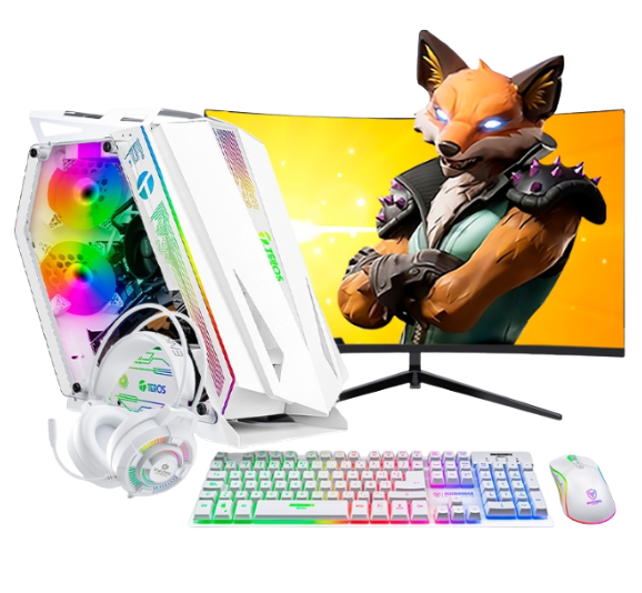 PC GAMER Draco RGB AMD Ryzen 5 5500